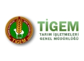 Tigem