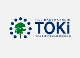 Toki